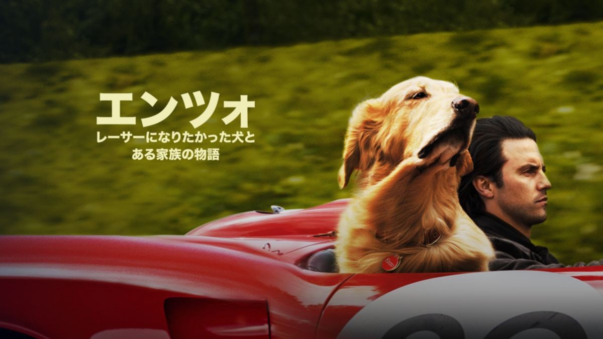 映画『エンツォ レーサーになりたかった犬とある家族の物語』感想